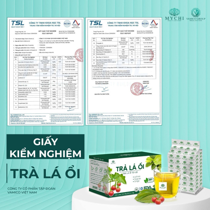 Chế biến từ đọt ổi non và lá ổi được chọn lọc kỹ càng