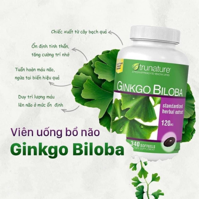 Viên Uống Bổ Não Ginkgo Biloba 120mg có tốt không? Có an toàn không?
