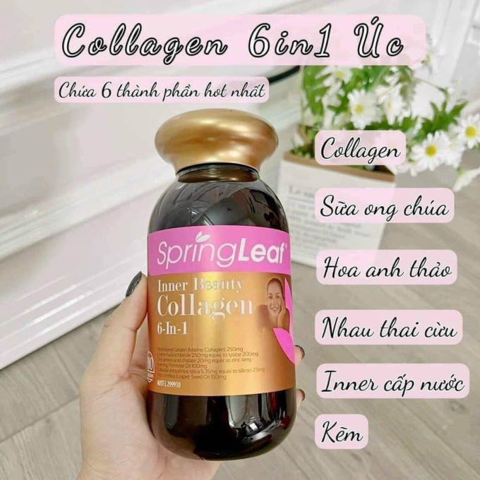 Viên Uống Collagen SpringLeaf Collagen 6 in 1
