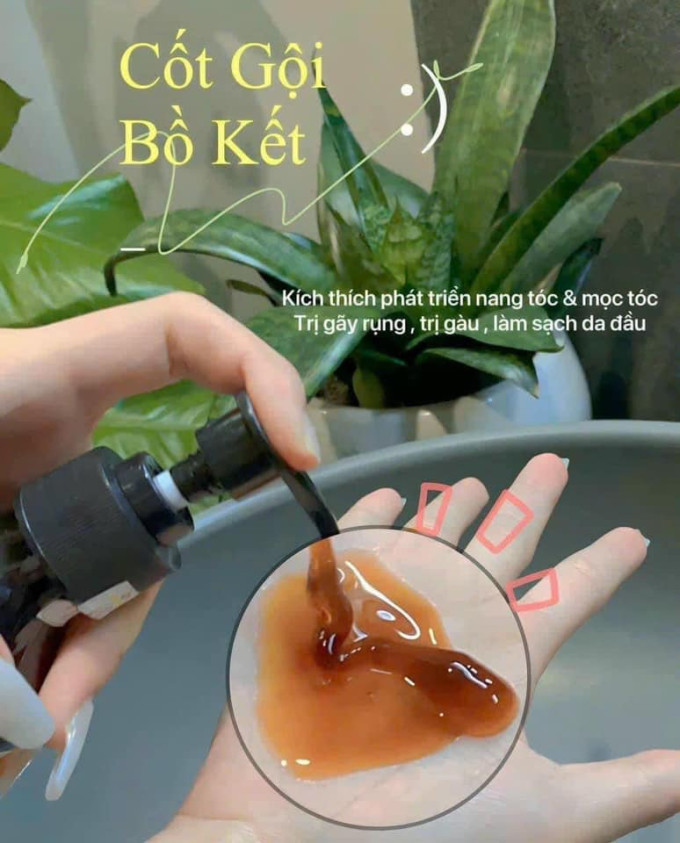 Thành phần tuyệt vời từ thiên nhiên