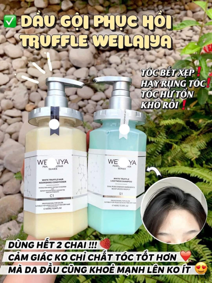 Dầu Gội Nấm Truffle Weilaiya - Bộ Dầu Gội Xả Phục Hồi Đa Tầng