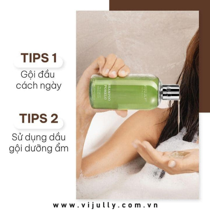 Hướng dẫn sử dụng