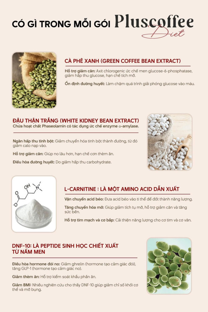 Thành phần nổi bật